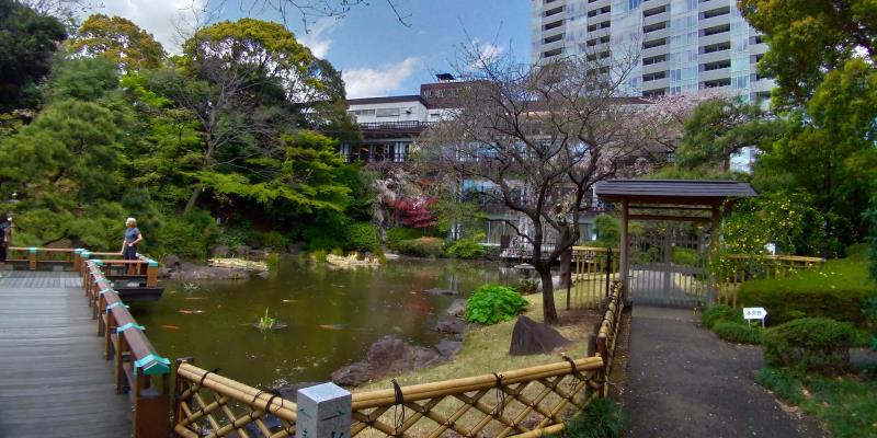 東郷神社境内の池。後ろに見えるのは東郷記念館