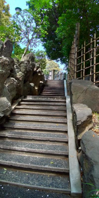 東郷神社境内の小さな階段