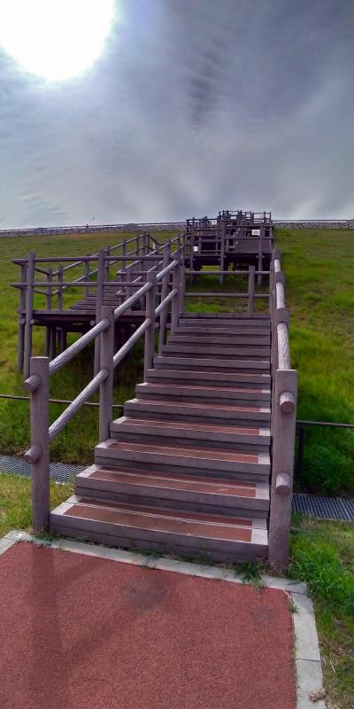 狭山公園の堤防を上る階段
