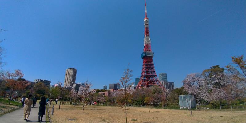 東京タワーが近づいてきた
