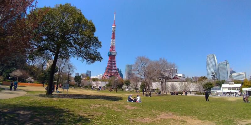 芝公園の芝生から見た東京タワー