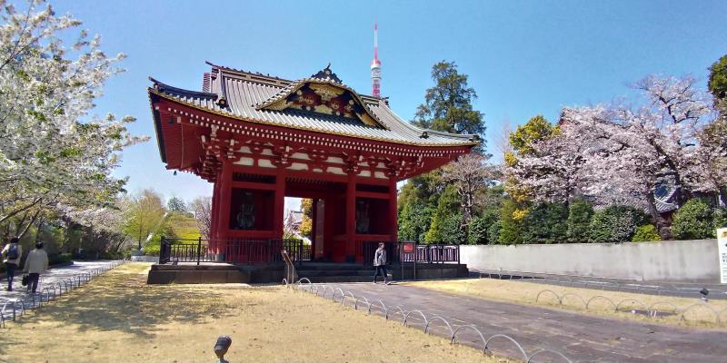 旧台徳院霊廟惣門と桜と東京タワー