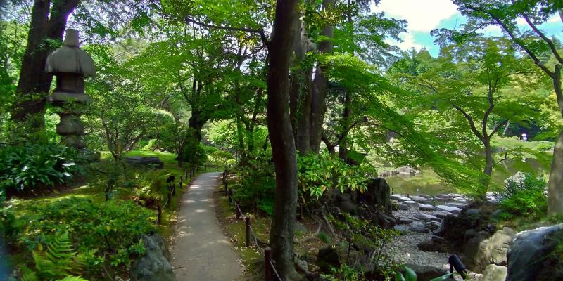 木々が茂る日本庭園