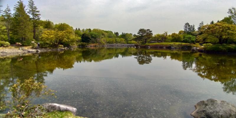 日本庭園全景