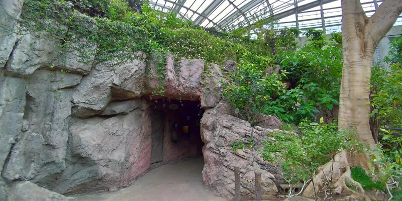 昆虫館のトンネル