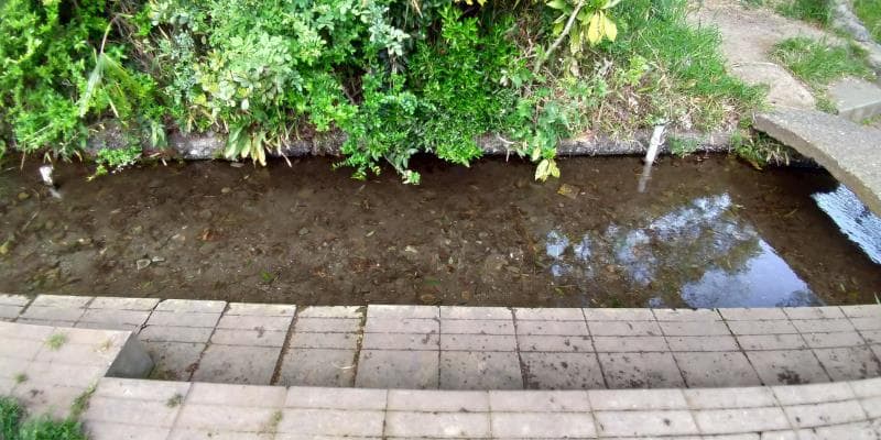 ママ下湧水公園の綺麗な流れ