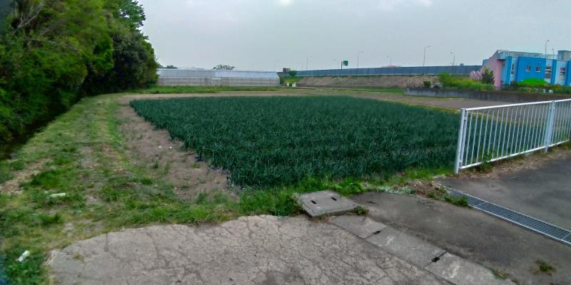 公園から眺める中央道