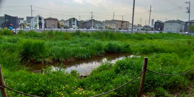 公園から眺める民家