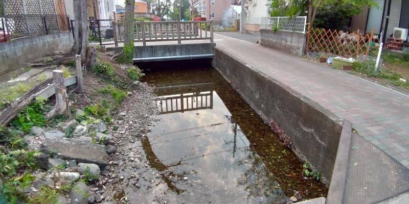 矢川の流れ