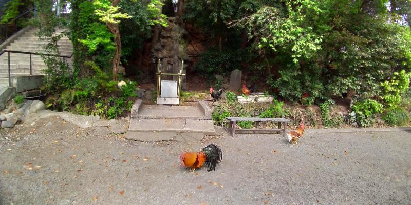 谷保天満宮は鶏が放し飼い 御朱印含めて徹底レポする 東京 国立市 東京チカーバ 東京と近場の観光 散歩スポットを巡るブログ