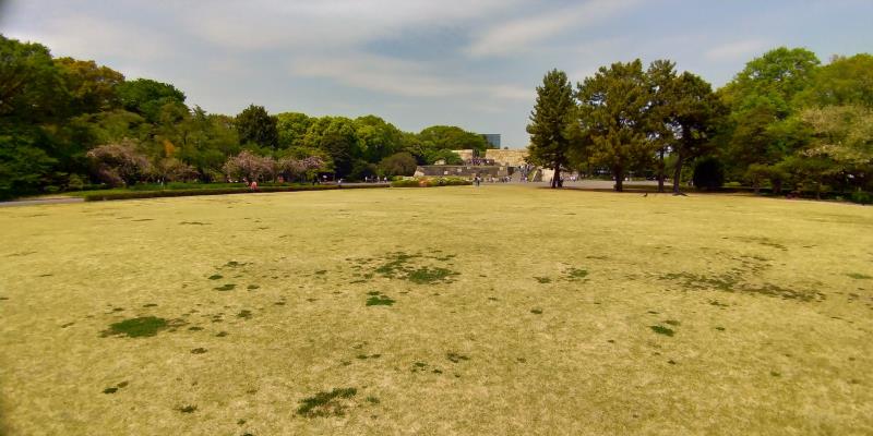かつて本丸があった大きな芝生広場