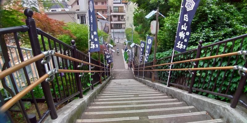 両脇に白山神社と書かれたのぼりの立つ細長い階段の先を見下ろす
