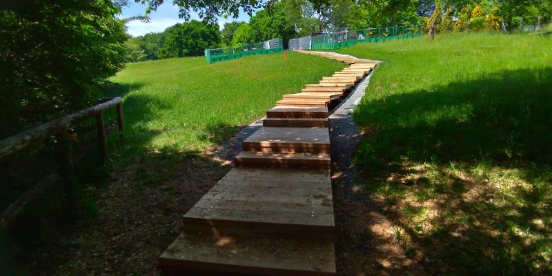 草地の中にある真新しい木製の緩やかな階段