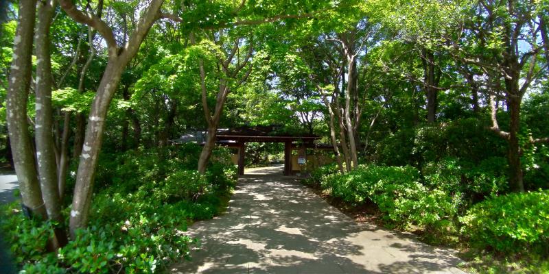 昭和記念公園日本庭園入口