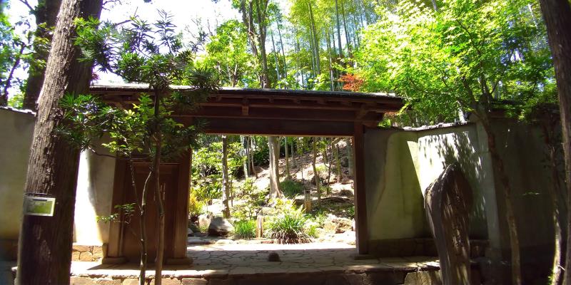 竹やカエデの新緑に彩られた庭園入口