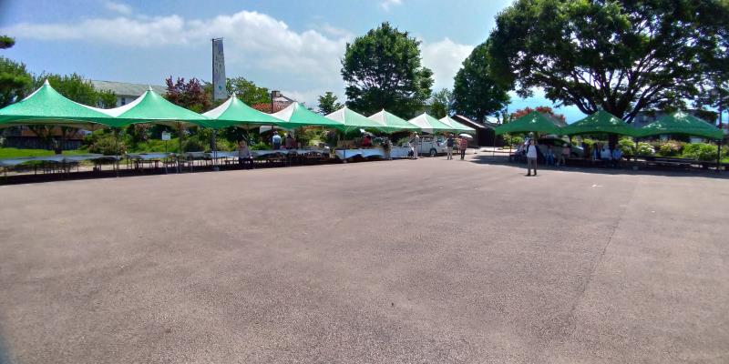 緑の簡易テントが並ぶ開成町あじさい祭り会場