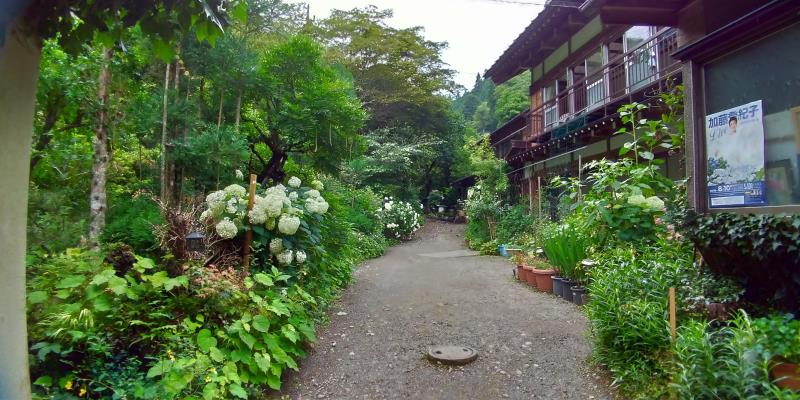 緑の多い庭に佇む日本家屋