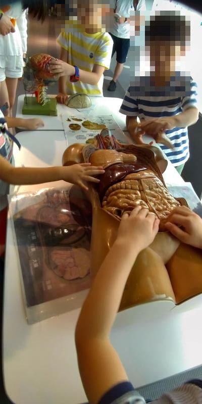 人体模型の内臓を取り出して遊ぶ子供たち