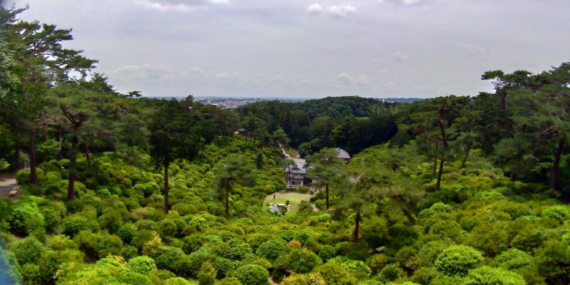 遠くに市街も見える小高い場所から見下ろす一面緑のツツジ園