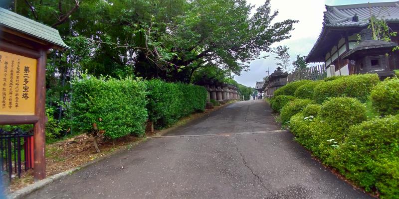 桜井門への道