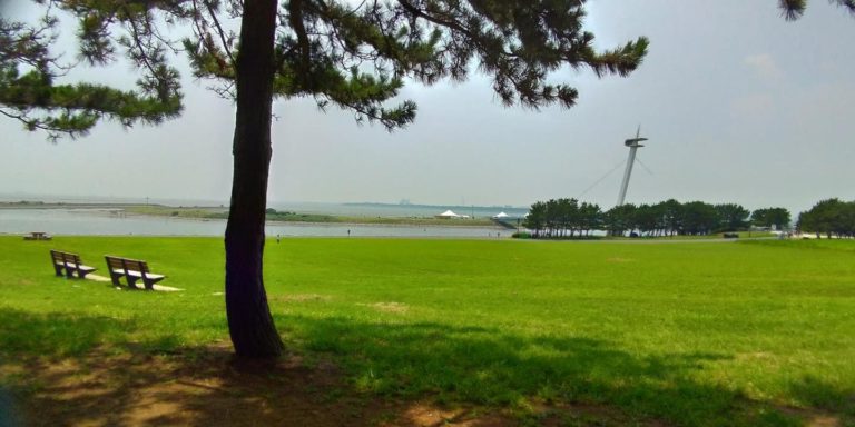 夏の葛西臨海公園 水族館 観覧車は涼しいor暑い 検証する 東京 江戸川区 東京チカーバ 東京と近場の観光 散歩スポットを巡るブログ