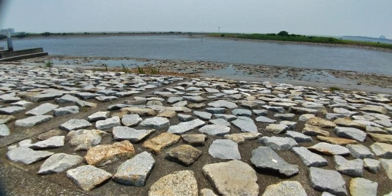 人工的に造られた石畳の海岸