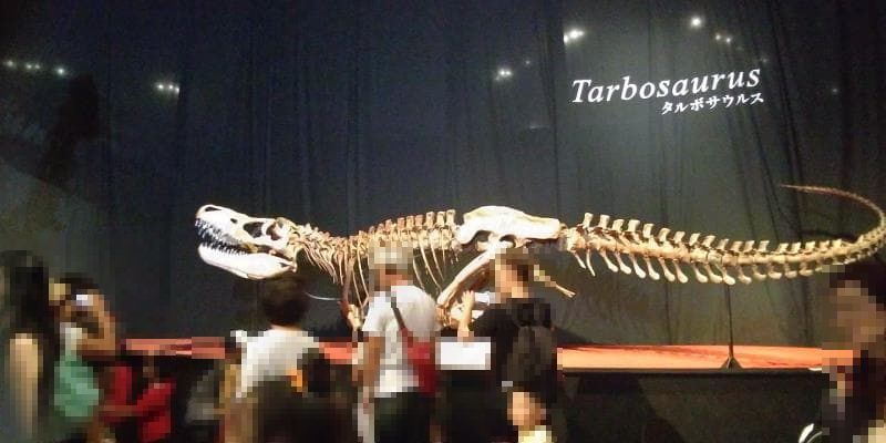 巨大な肉食恐竜の骨格
