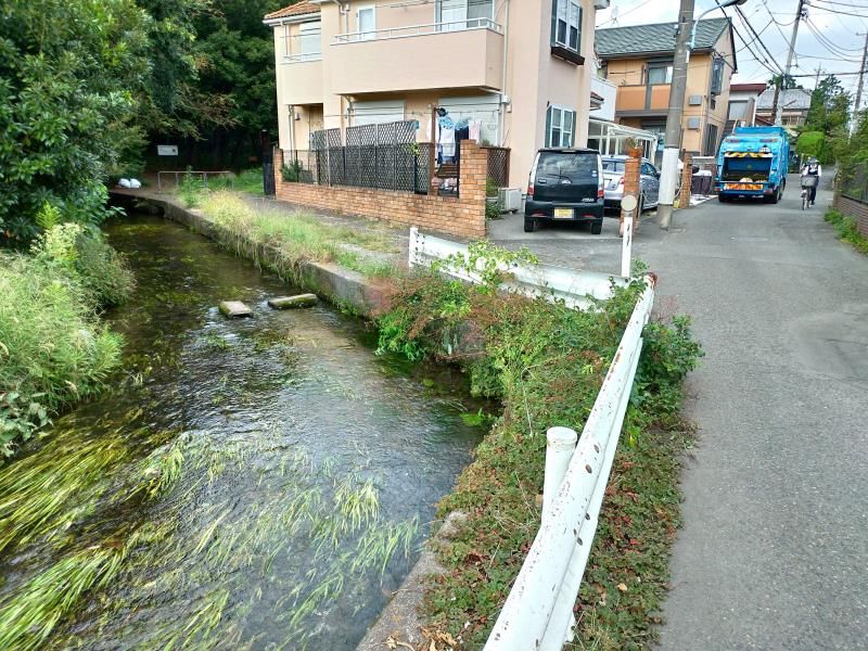 矢川緑地保全地域の入口