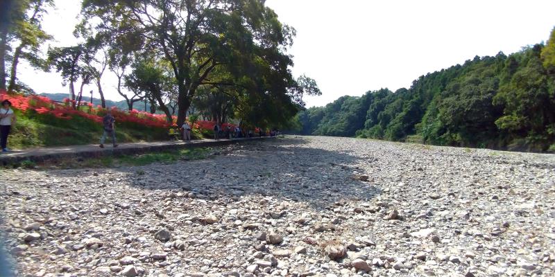 広い河原には石ころがたくさん