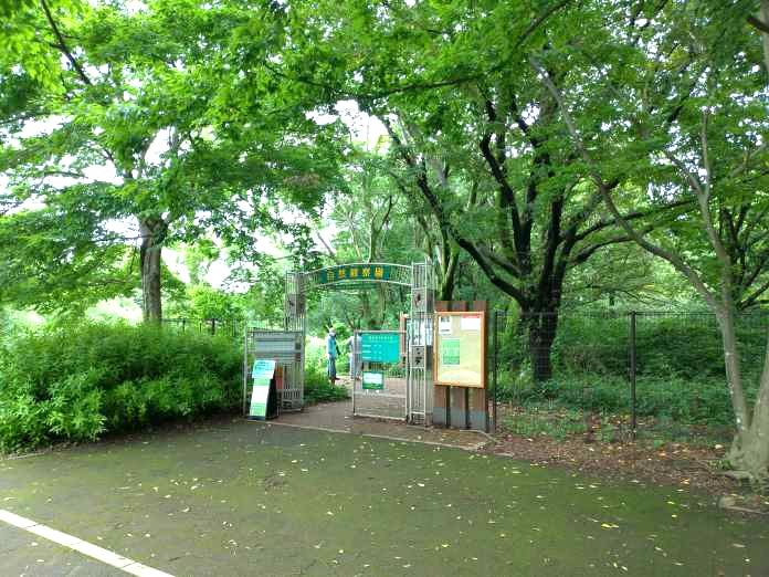野川公園自然観察園の入口