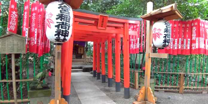 赤い鳥居が幾重にも並ぶ大宮稲荷神社