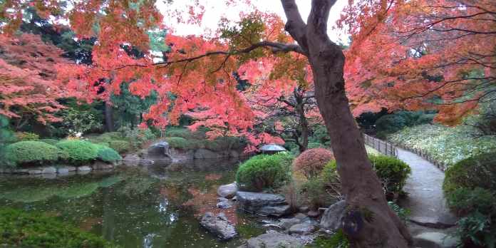 東京都庭園美術館の紅葉がキレイ過ぎた件 見頃期も解説 港区 東京チカーバ 東京と近場の観光 散歩スポットを巡るブログ