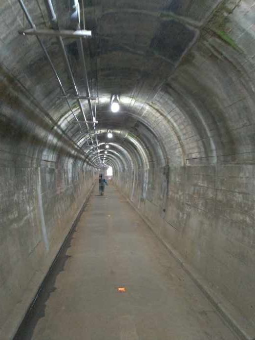 東京に約1km歩く事のできる廃線跡トンネルがあった 武蔵村山市 東京チカーバ 東京と近場の観光 散歩スポットを巡るブログ